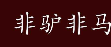 白马非马的意思和故事是什么