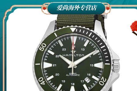 陶瓷海龟和汉米尔顿水肺哪个好