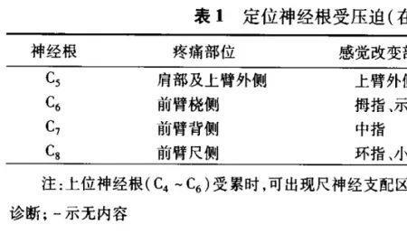 人对痛觉的反应时间