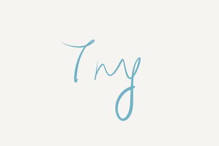 try同义句