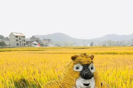 湖南四大农场