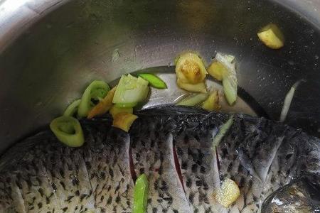 鲤鱼喜欢什么水果味道