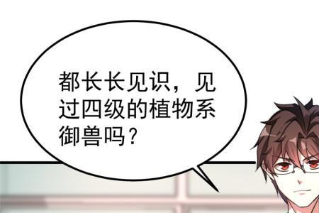 不科学御兽主角宠物有哪些