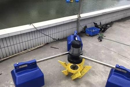 上午几点钟开增氧机合适