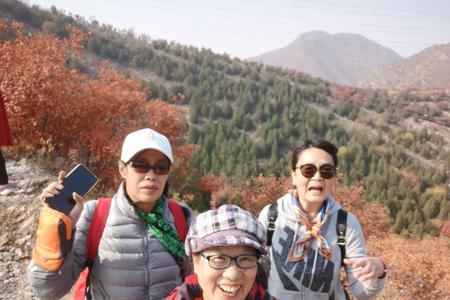 白毛峪红叶几号最红