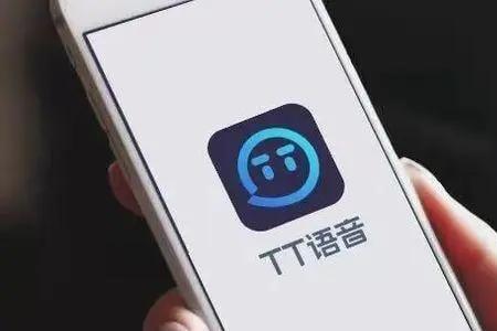 tt语音显示离线几天吗