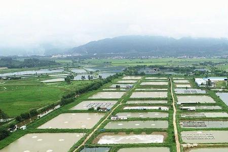 海盟养殖和海大养殖哪家公司好
