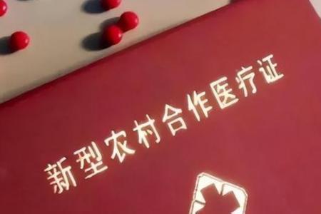 2022年的合作医疗有哪些保障