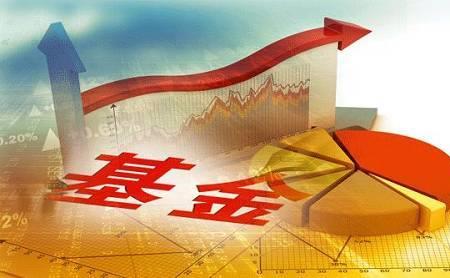 基金机构是什么意思