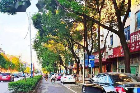 宜春什么地方好停车