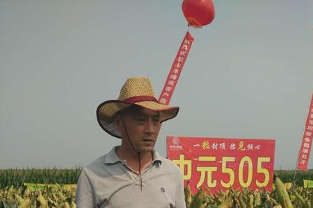 中元211玉米品种全部信息