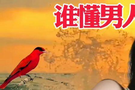 谁懂男人的眼泪什么时间发行的