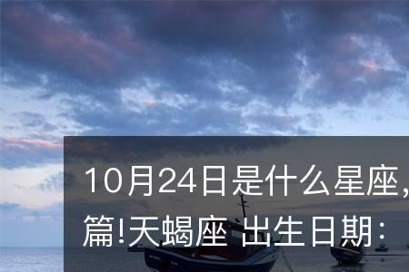 2004一月二十四日出生是什么星座