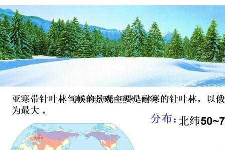 亚寒带针叶林常见树种典型特征