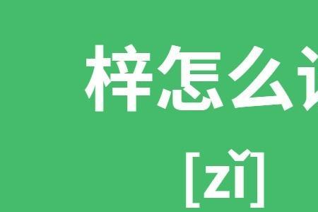 浑一色什么意思