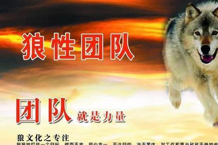 创一流团队下一句口号是怎么喊