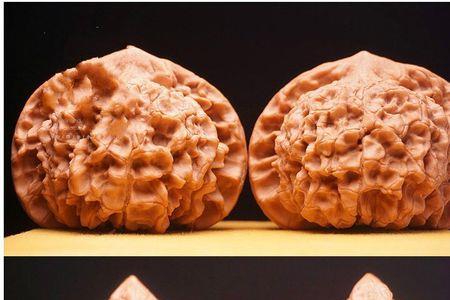 文玩核桃狮子头35mm该怎么盘
