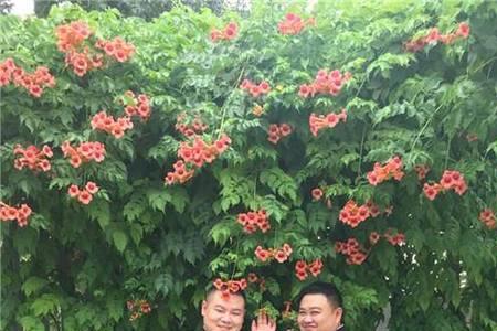 孙越带来的兄弟都有谁