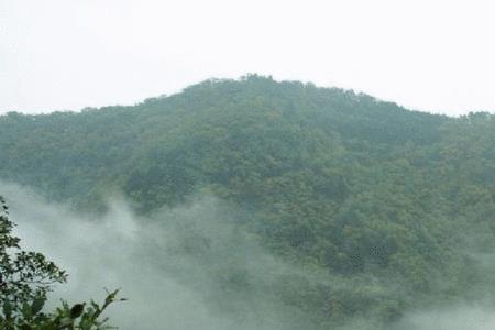 疫情金栗山公园开放吗