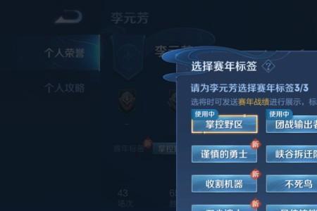 王者的个人标签为什么不显示