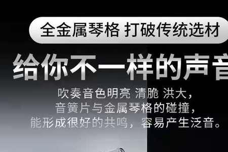 十孔口琴c调和paddy区别