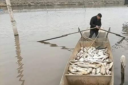 捡臭鱼是什么意思