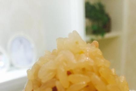 恐龙菜的学名