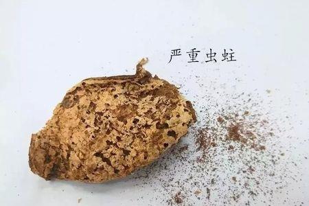 牛仔裤被虫蛀