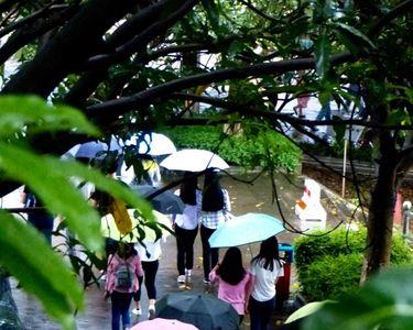 小雨淅淅沥沥的文案
