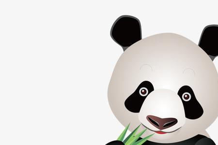 三只熊猫吃竹子的动画片