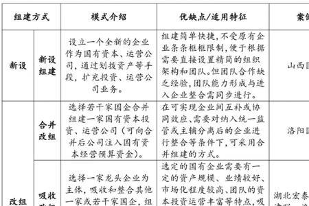 国有资本投资的特点