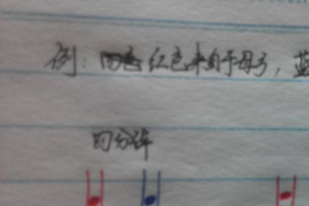 染色单体形成时期