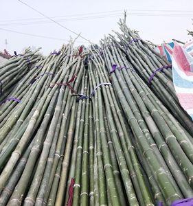 毛竹可以用气钉固定吗