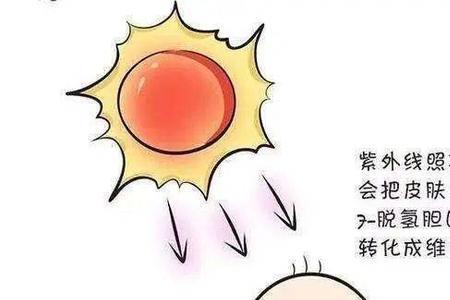 曝晒太阳的读音是什么