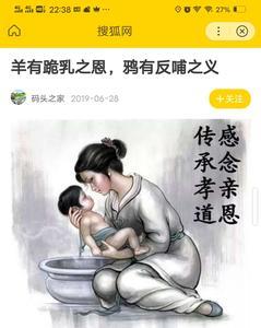 慈鸦反哺什么意思