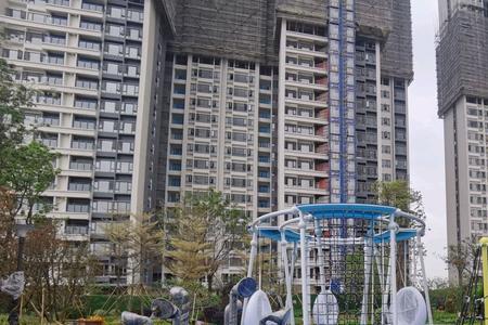 云湖花城收楼时间