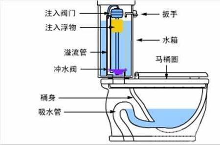 虹吸效应是什么意思