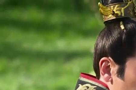芈月传秦王几个公子