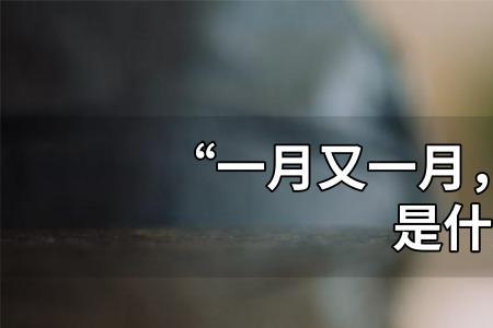 一个月一个谭的半边念什么