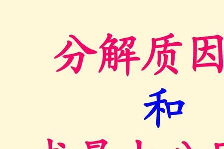 1是质因数是什么意思