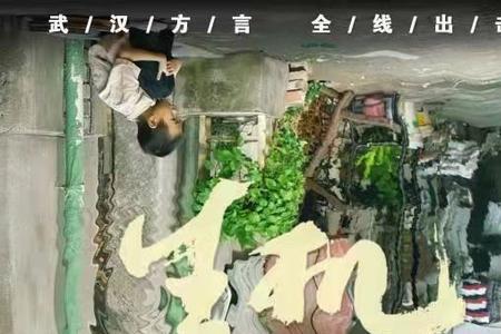 生机渺茫是什么意思