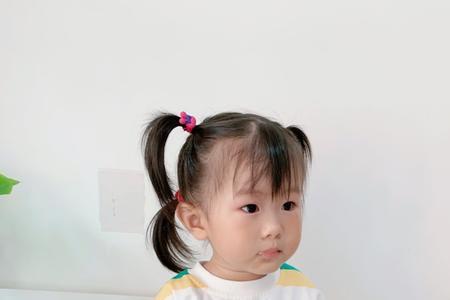拉比树和齐齐熊哪个好