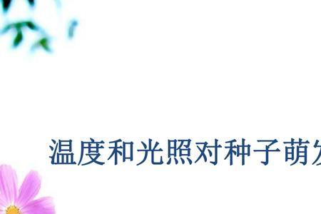 气温太高会把种子热死吗