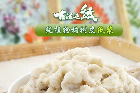 植物皮和科技皮哪种好