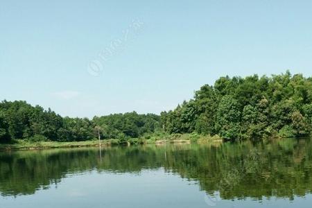 浏阳清江水库可以钓鱼吗