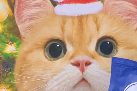 思享家猫粮好不好