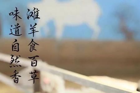 宁夏有多少牧场