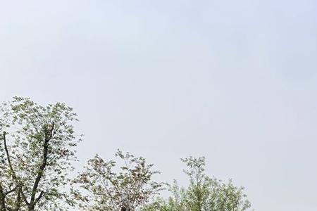 济南西湿地公园多少亩