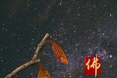 不若则能避之的若是什么意思