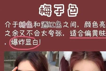 染膏911与82的区别